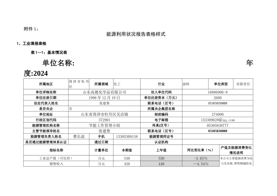 能源利用状况报告表格样式_第1页