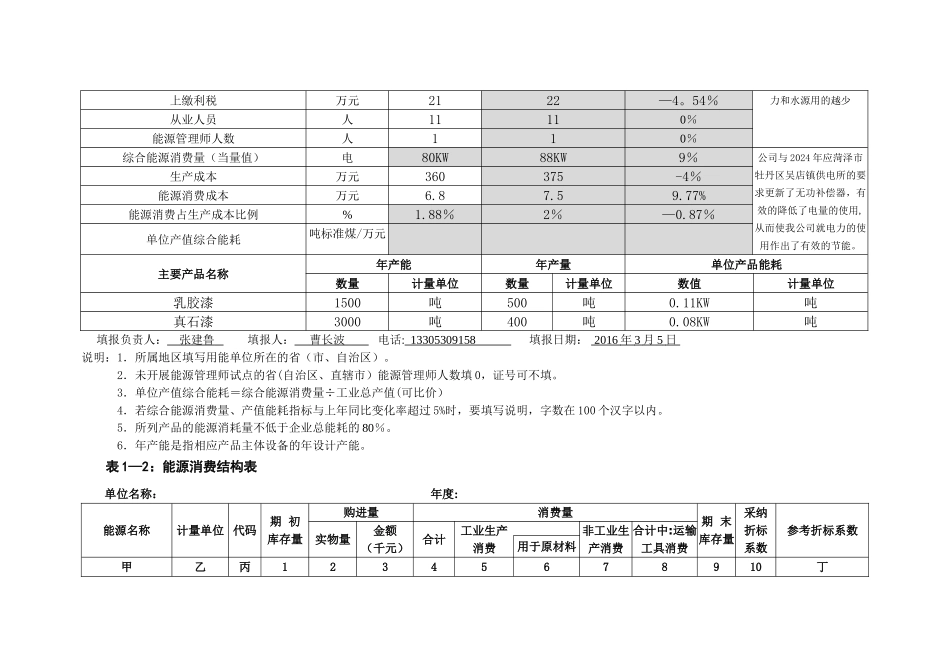 能源利用状况报告表格样式_第2页