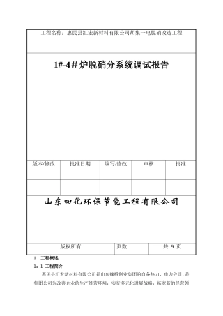 脱硝工程调试报告