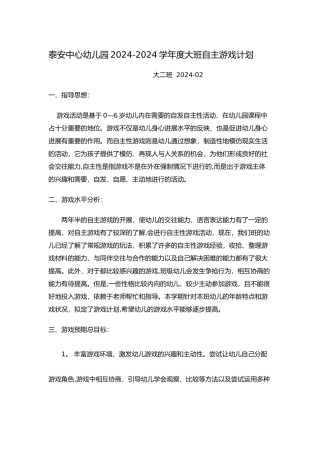 自主游戏计划总结