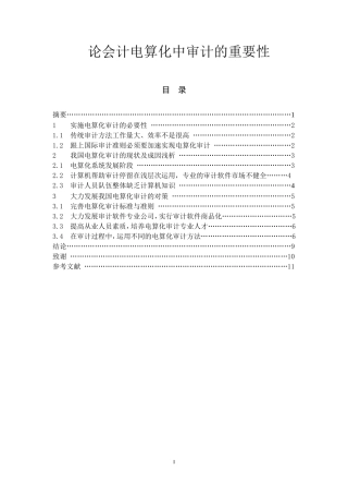 论会计电算化中审计的重要性  审计学专业