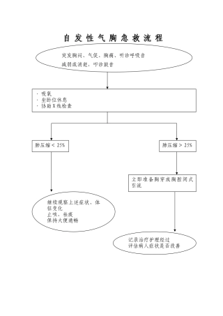 自发性气胸急救流程
