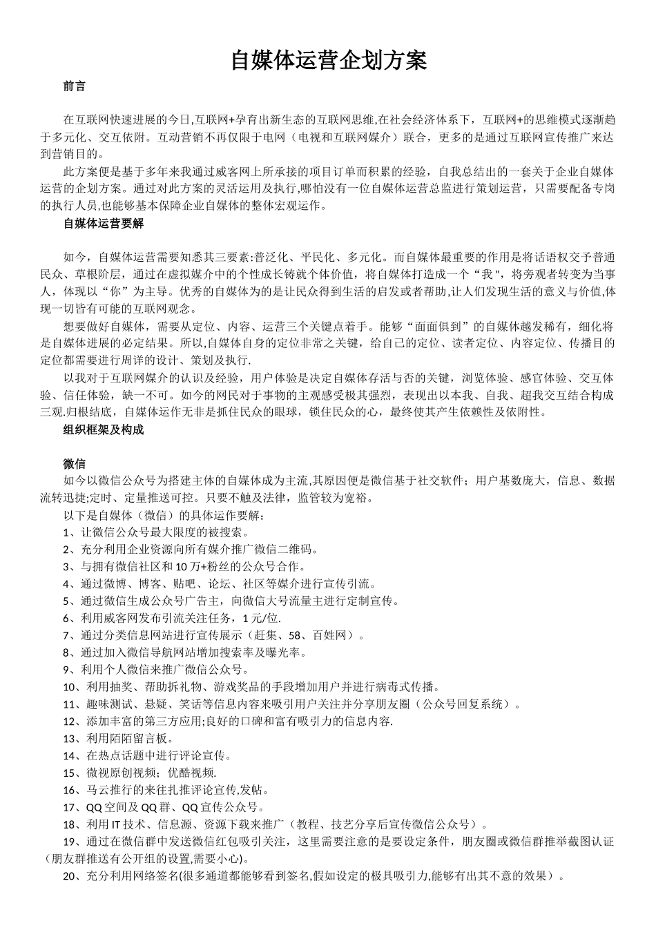 自媒体运营企划方案_第1页