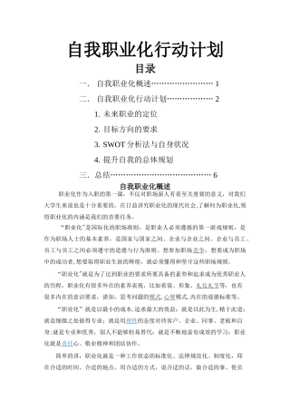 自我职业化行动计划