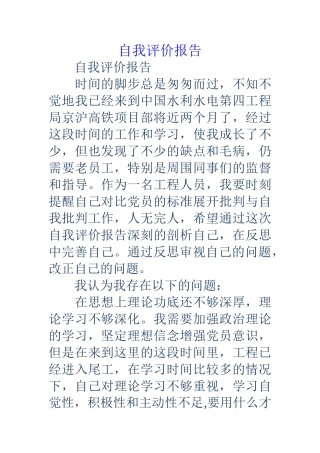 自我评价报告