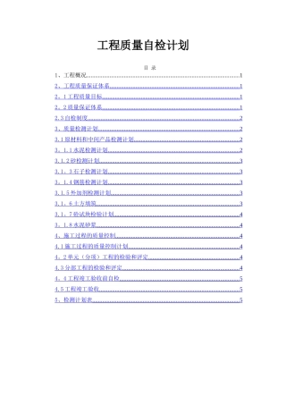 自检计划专项方案