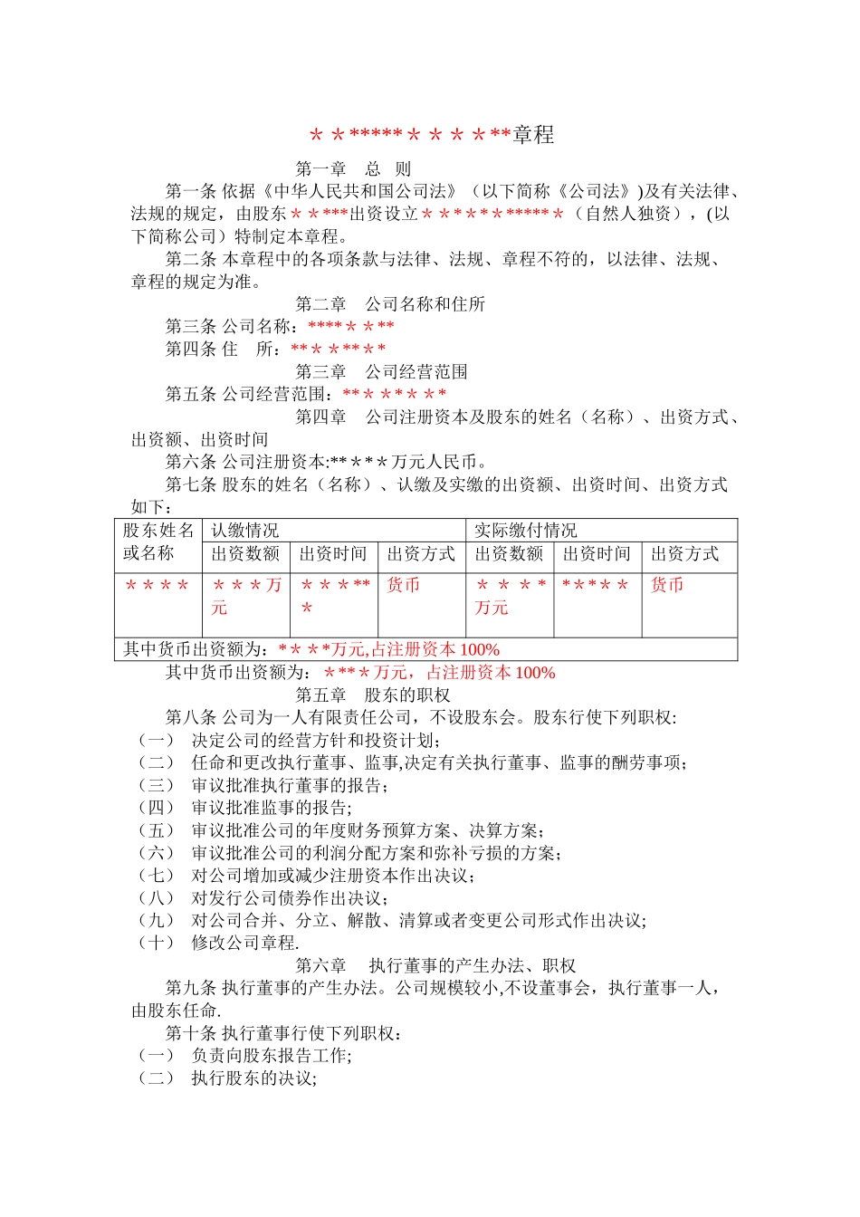 自然人独资公司章程_第1页