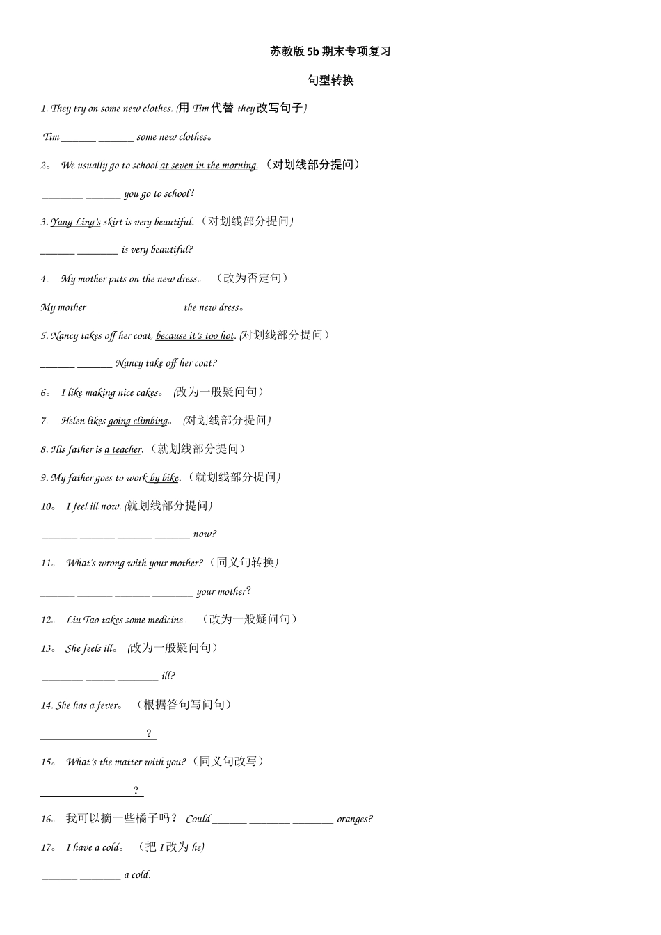 苏教版5b期末专项复习+3套综合试卷_第1页