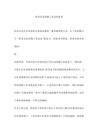 营业员试用期工作总结优秀