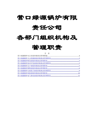 营口绿源锅炉各部门管理职责说明书