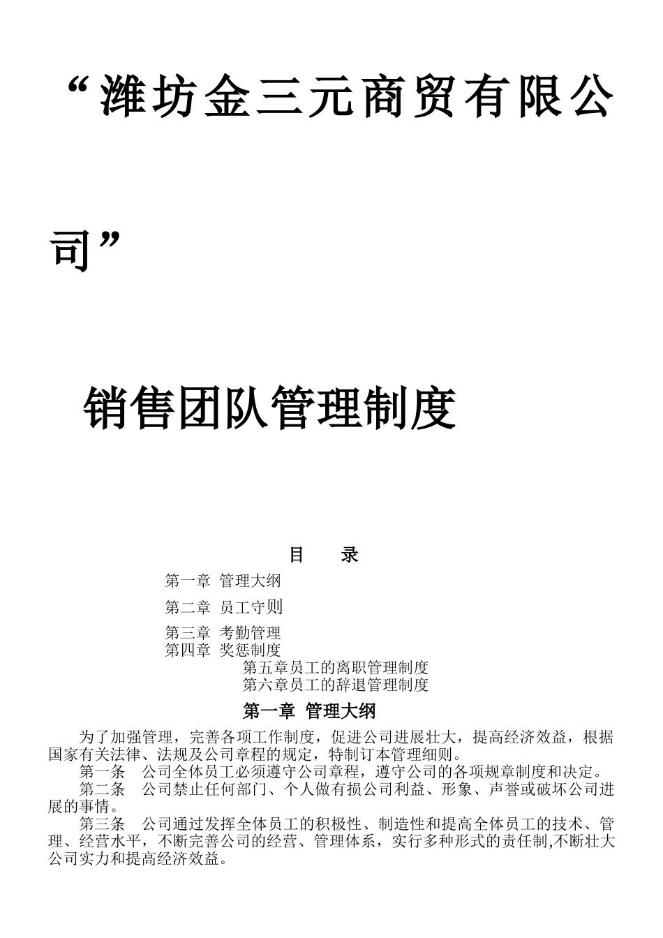 营销团队管理制度_第1页