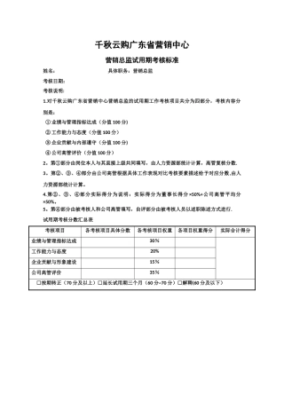 营销总监考核标准