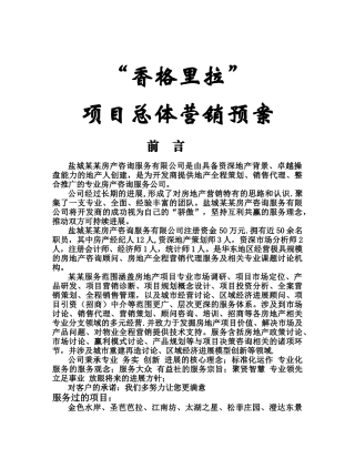 营销推广方案
