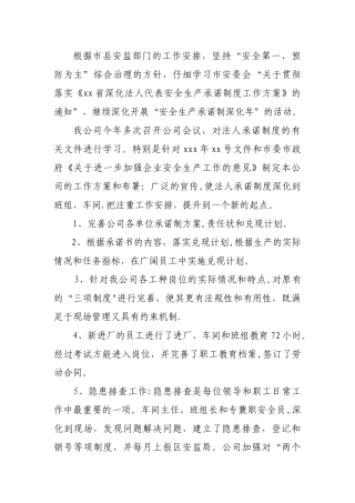 落实企业主体责任汇报材料