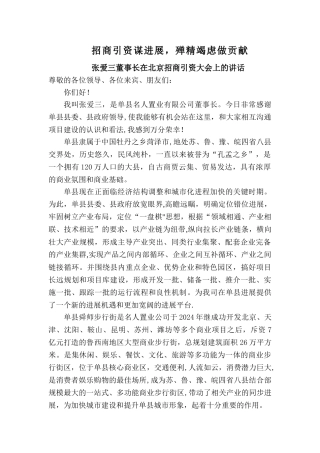 董事长招商会讲话