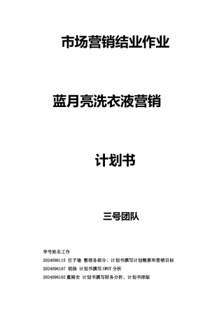 蓝月亮市场营销计划书