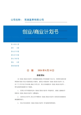 蓝果创业商业计划书模板V10.4