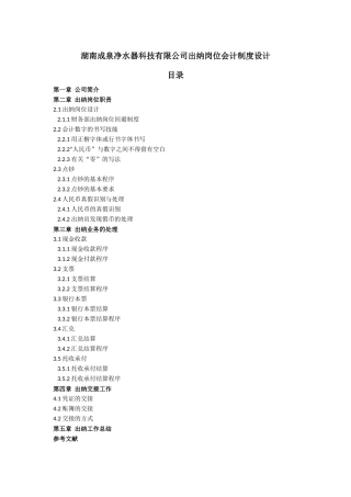 湖南成泉科技有限公司出纳岗位会计制度设计（提纲）