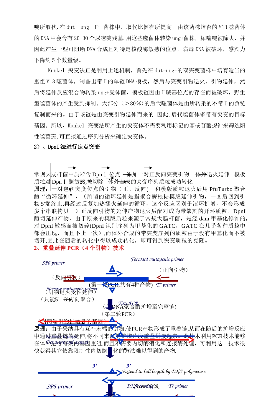 蛋白质工程重点_第2页