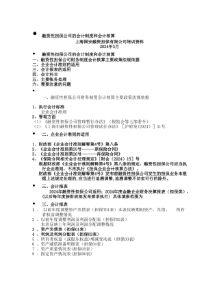 融资性担保公司的会计制度和会计核算