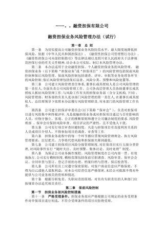 融资担保公司风控管理办法