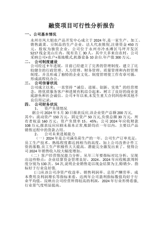 融资项目可行性分析报告