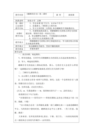 蟋蟀的住宅公开课教案