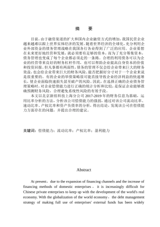 会计财务管理专业 北京新纽科技上海分公司偿债能力分析