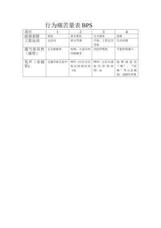 行为疼痛量表BPS