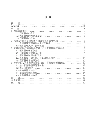 会计财务管理专业 沈阳友和医疗咨询服务有限公司预算管理存在的问题与对策建议