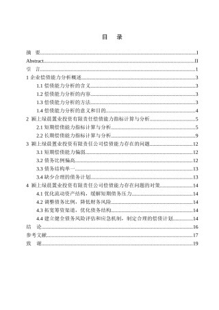 会计财务管理专业 颍上绿晨置业投资有限责任公司偿债能力分析