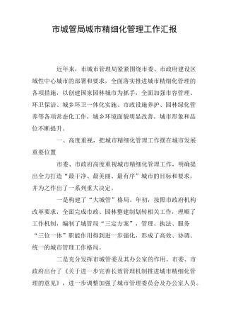 市城管局城市精细化管理工作汇报