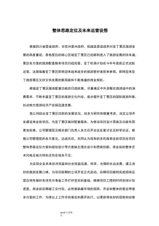旅游景区商业街《思路定位及运营设想方案》