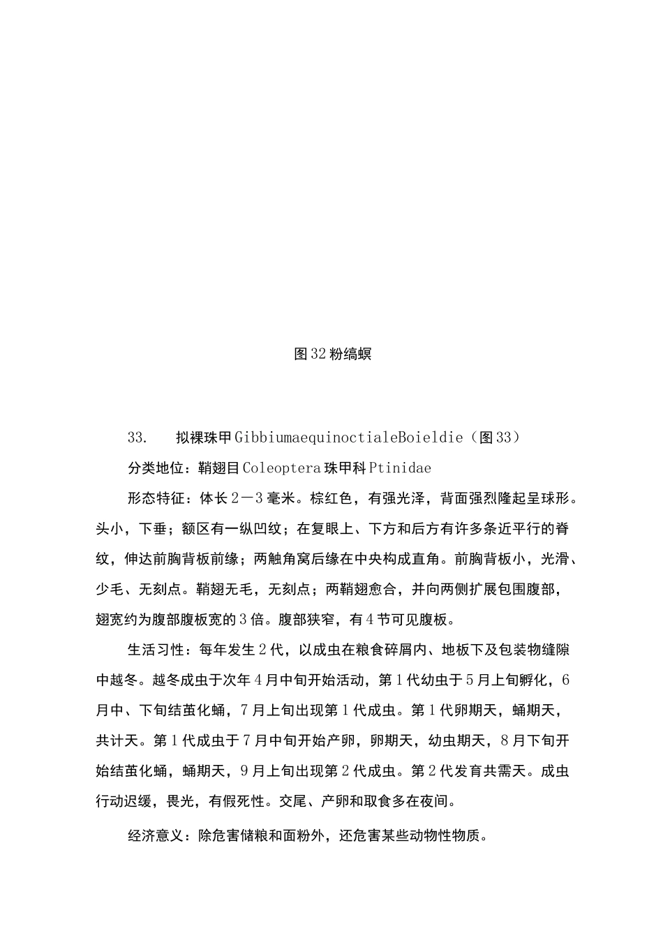 常见重要储粮害虫41种_第3页