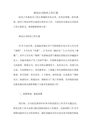 移动公司防汛工作汇报