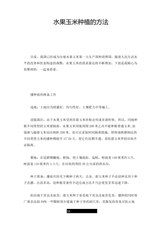 最新水果玉米种植的方法