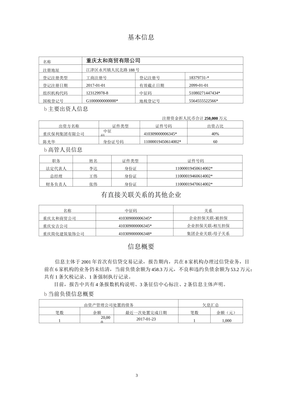 企业征信报告完整版_第3页