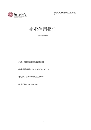 企业征信报告完整版