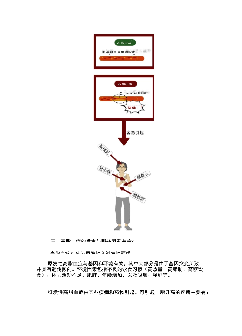 高脂血症健康指导宣教_第2页