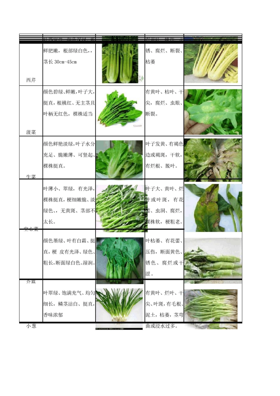 (完整版)蔬菜验收标准图片版_第3页