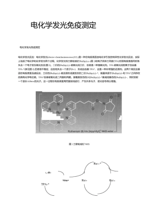 电化学发光测定原理