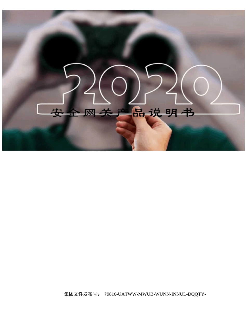 安全网关产品说明书_第1页
