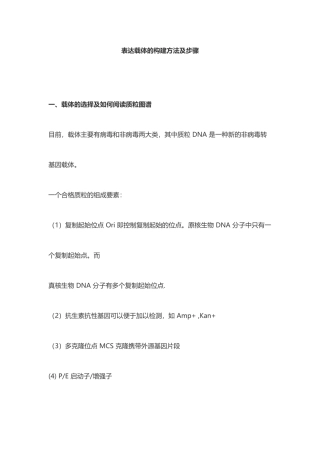 表达载体的构建方法及步骤