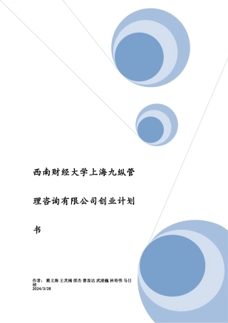 西南财经大学上海九纵管理咨询有限公司创业计划书