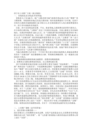 西宁市上市推广方案