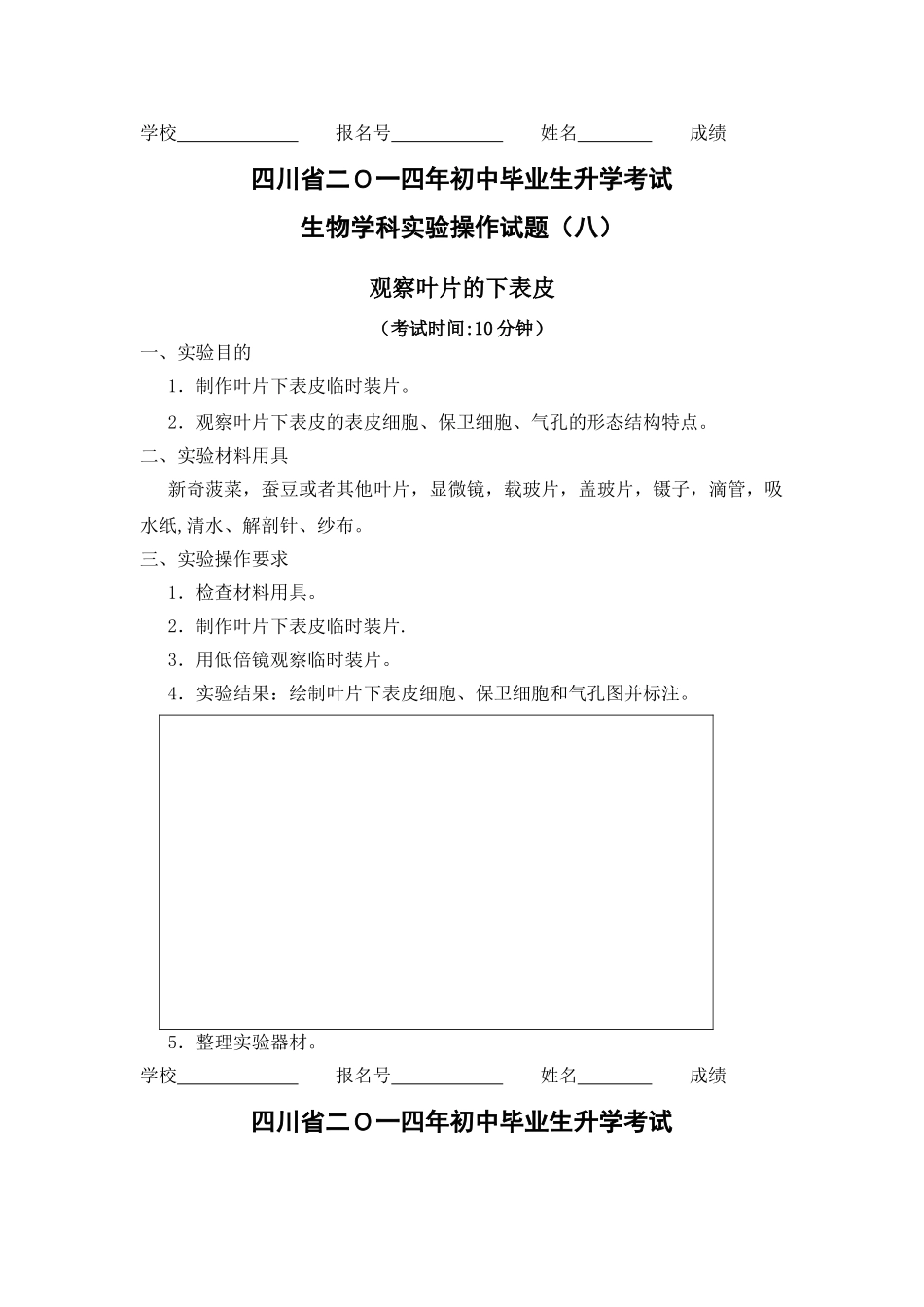 观察叶片的下表皮_第1页