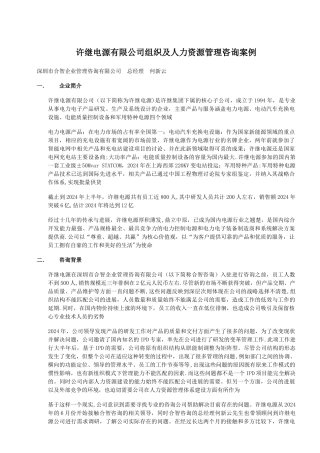 许继电源公司组织及人力资源管理咨询案例——何新云