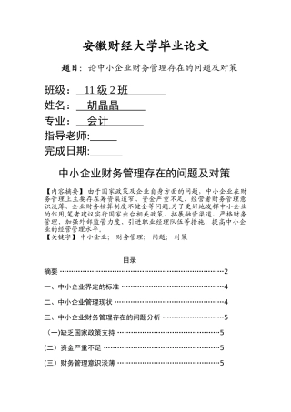 论中小企业财务管理存在的问题及对策---毕业论文