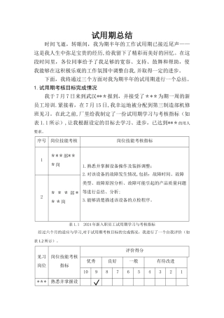 设备维修试用期工作总结
