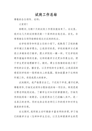试岗工作总结